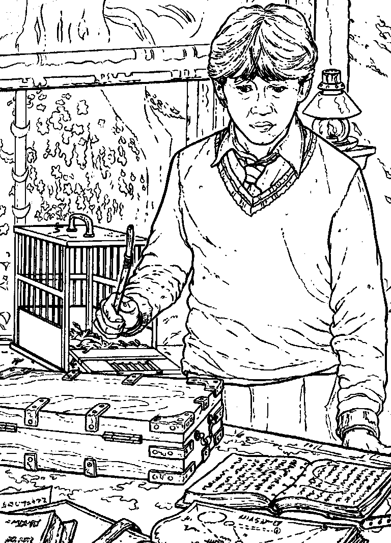 It is an image of Divine Coloring Pages Harry Potter It is a graphic of Divine Coloring Pages Harry Potter